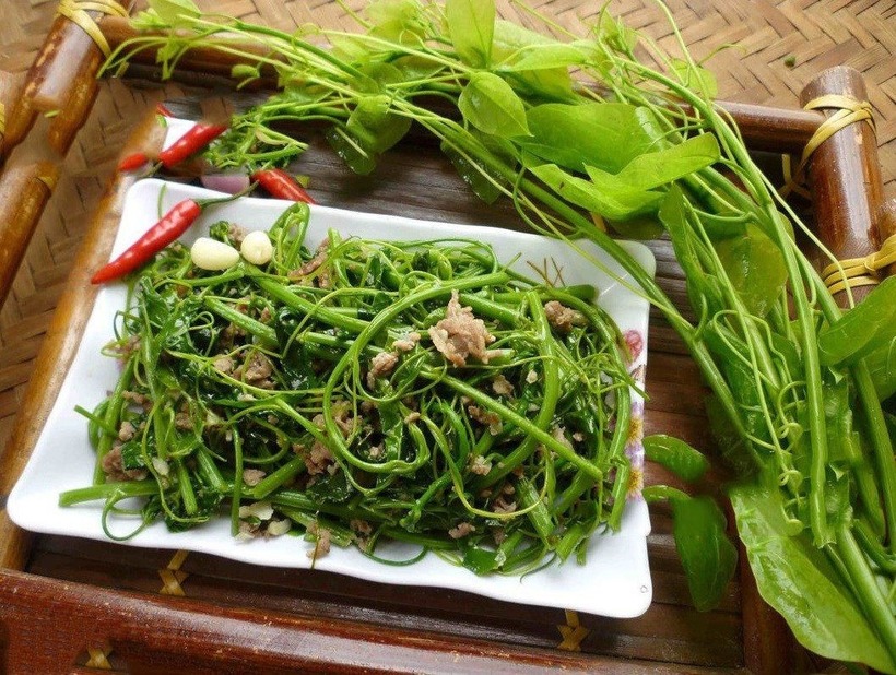 Rau dớn - Loại rau quen thuộc trong đời sống người dân Minh Hóa.