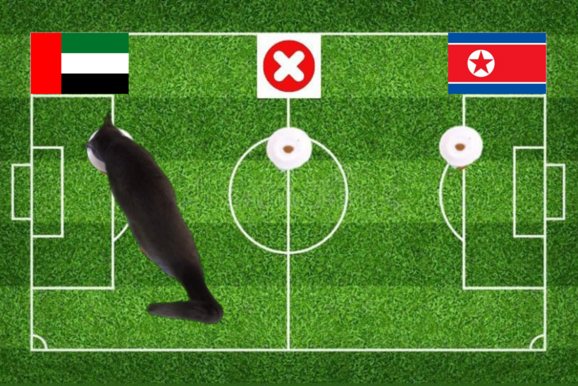 Lựa chọn của chú mèo tiên tri trước trận UAE vs Triều Tiên