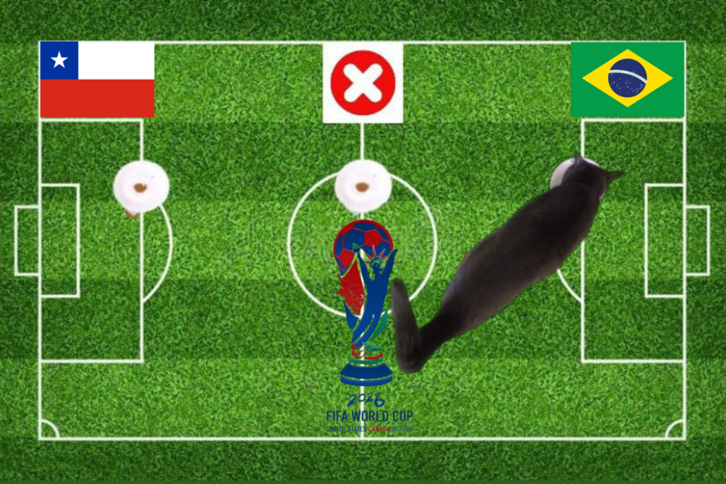 Lựa chọn của chú mèo tiên tri trước trận Chile vs Brazil