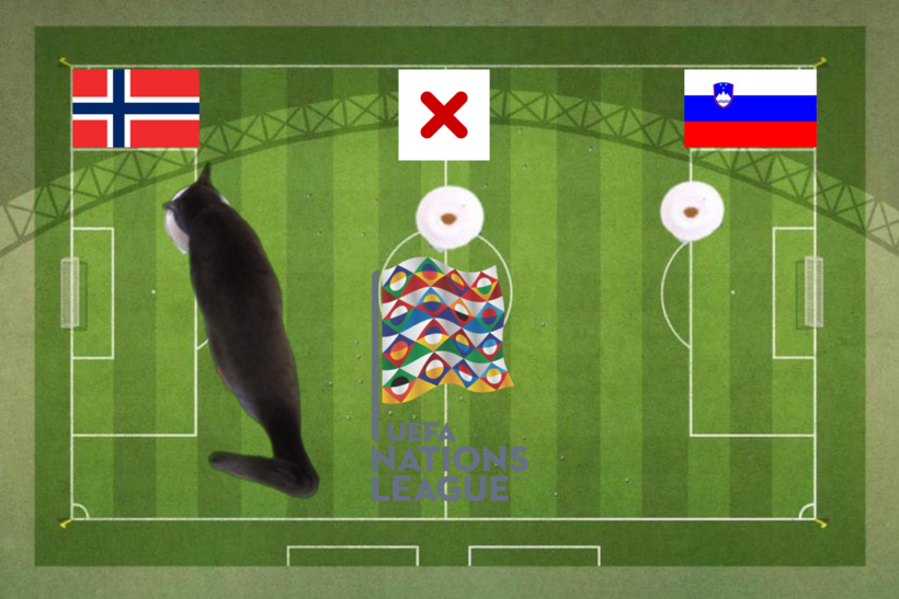 Lựa chọn của chú mèo tiên tri trước trận Na Uy vs Slovenia