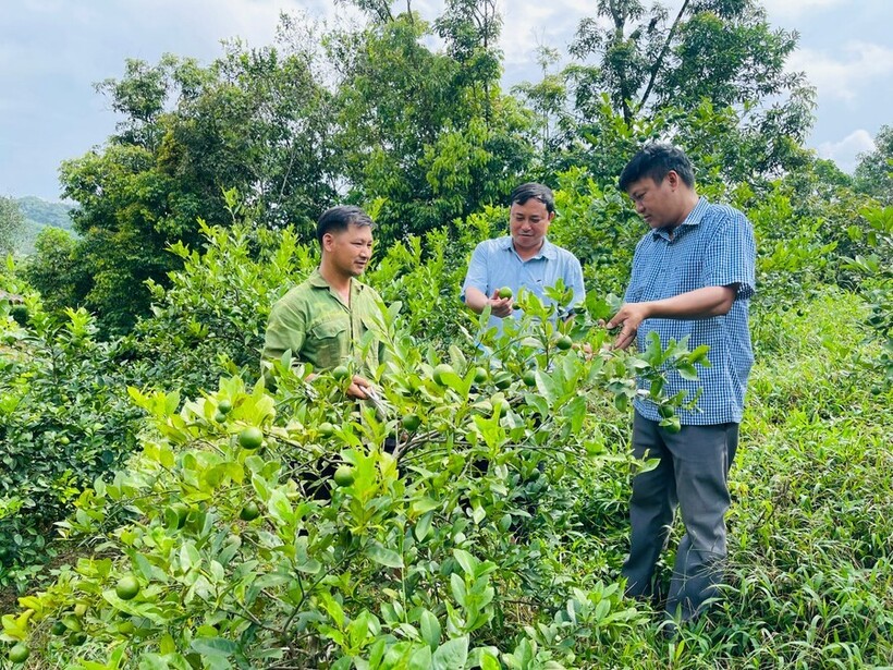 Những chuyển biến tích cực trong công tác giảm nghèo tại huyện Vị Xuyên