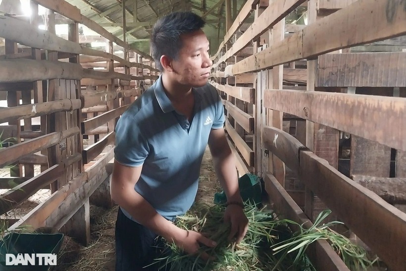 Anh Quế cho hươu ăn. Ảnh: Dân trí