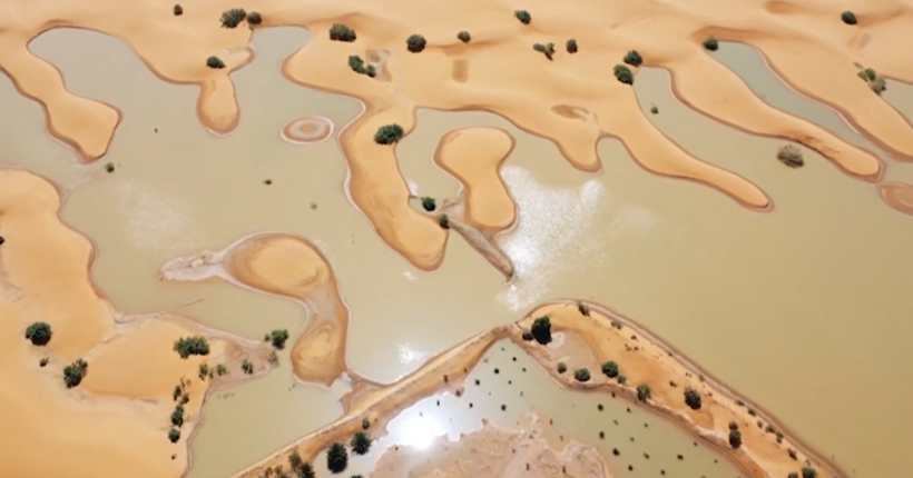 Đợt mưa vừa qua đã khiến nhiều khu vực ở sa mạc Sahara ngập lụt, biến thành đầm nước. Ảnh: Daily Mail