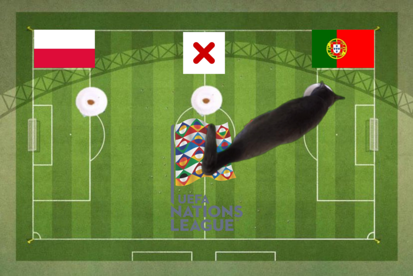 Lựa chọn của chú mèo tiên tri trước trận Ba Lan vs Bồ Đào Nha