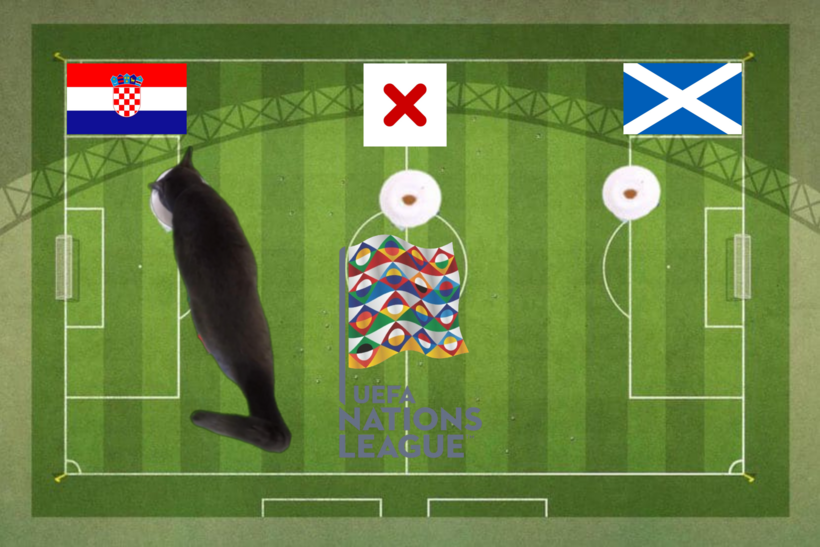 Lựa chọn của chú mèo tiên tri trước trận Croatia vs Scotland