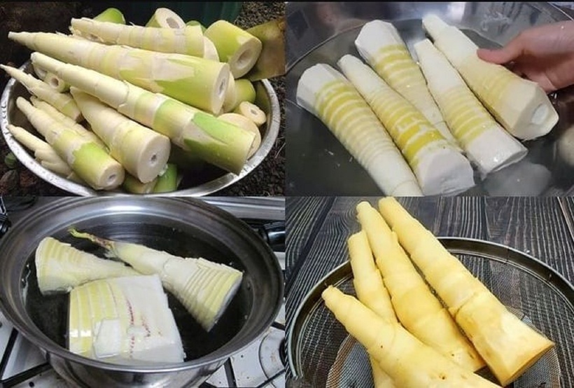 Trong măng tươi thường chứa các chất độc hại cho cơ thể đó là chất cyanide. Chất độc này khi vào cơ thể có thể gây chóng mặt, buồn nôn, thậm chí suy hô hấp tử vong. Hàm lượng chất này trong măng rất cao. Ảnh minh họa