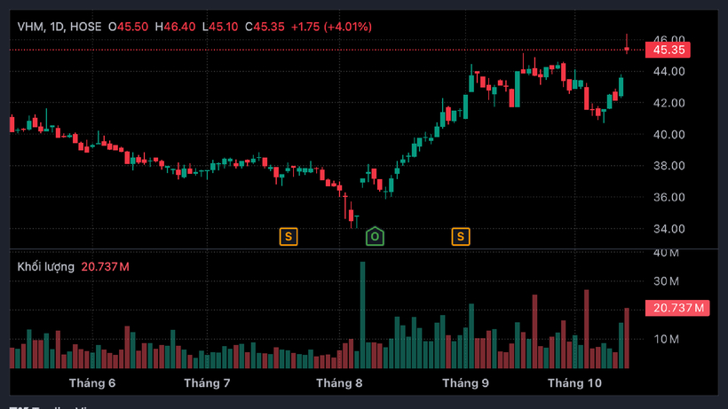 Diến biến thị giá cổ phiếu VHM. Ảnh: Người đưa tin