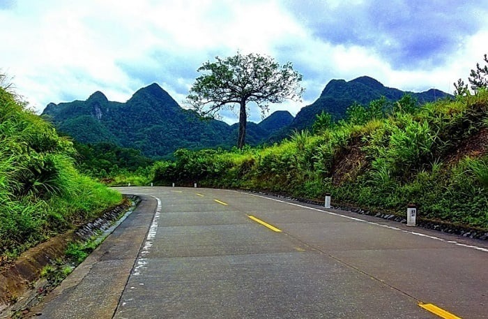 Trên hành trình chinh phục đèo Đá Đẽo, du khách sẽ được chiêm ngưỡng những cảnh quan thiên nhiên tuyệt đẹp.