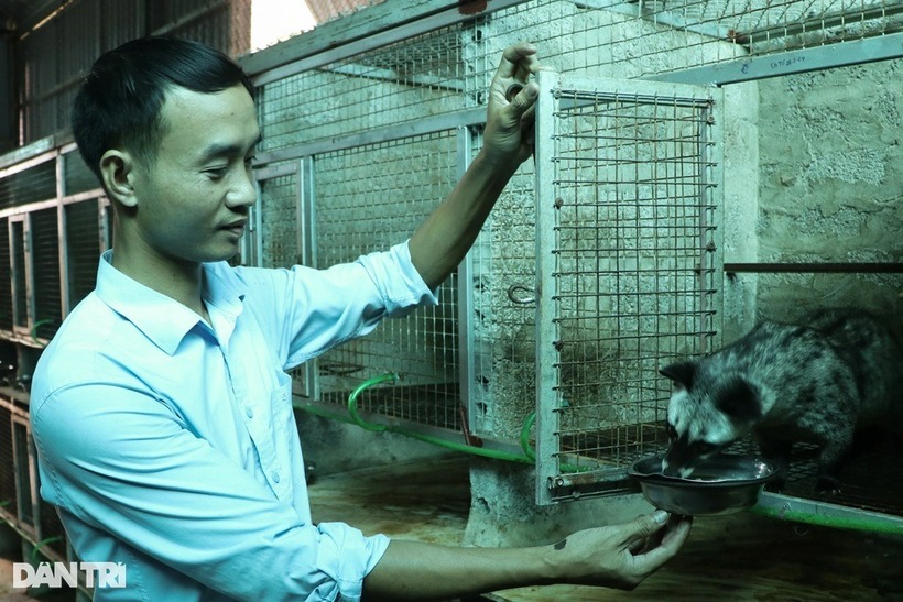 Kỹ sư xây dựng chốn phố về quê nuôi loài "lười nhất quả đất", lãi hơn 1 tỷ mỗi năm