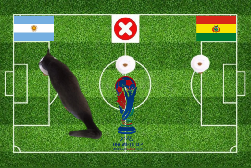 Lựa chọn của chú mèo tiên tri trước trận Argentina vs Bolivia