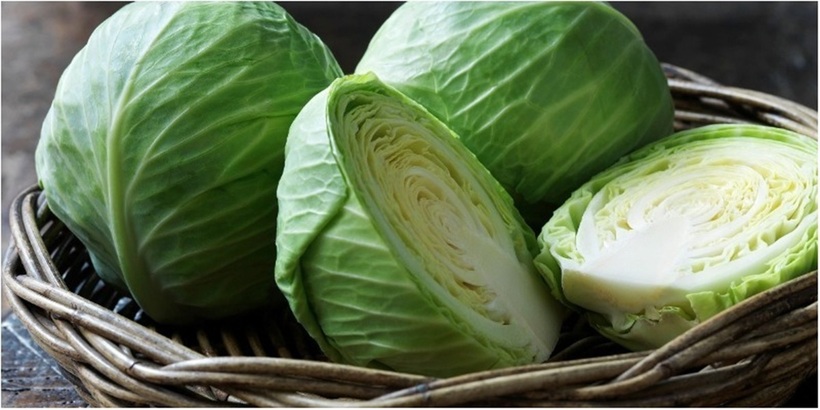 Mặc dù mang lại nhiều lợi ích sức khỏe, nhưng không phải ai cũng thích hợp để ăn cải bắp.