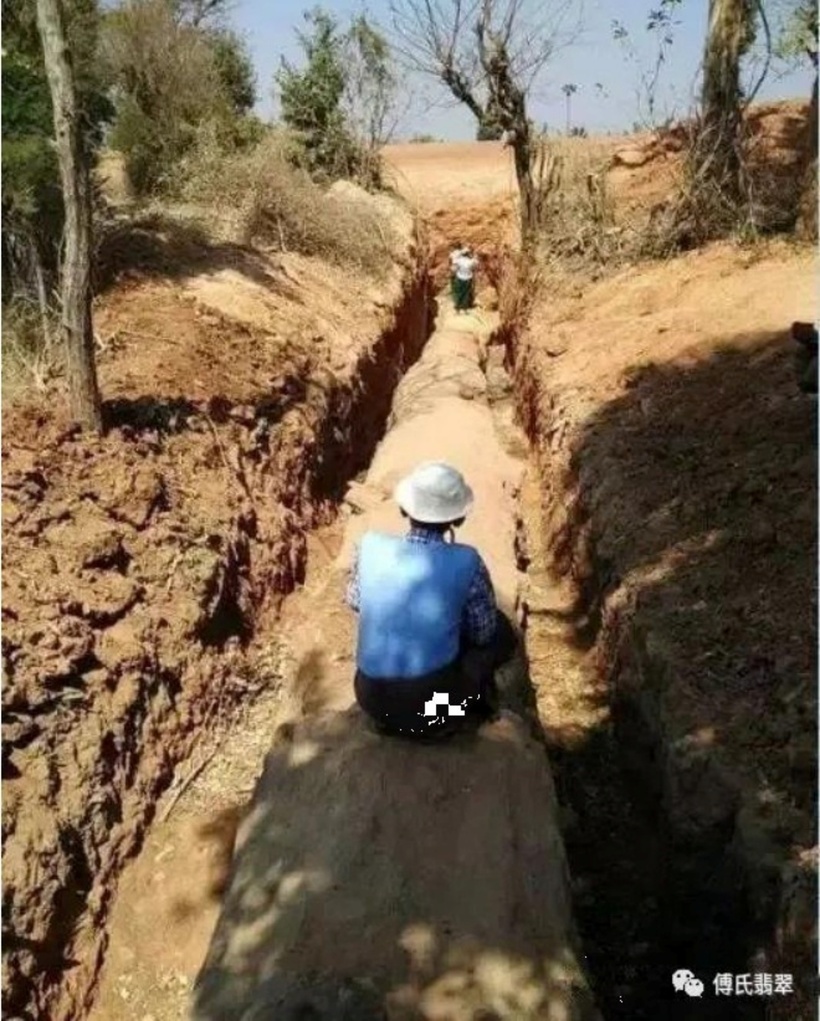 Cây gỗ dài 30m được lão nông tìm thấy. Ảnh: Sohu