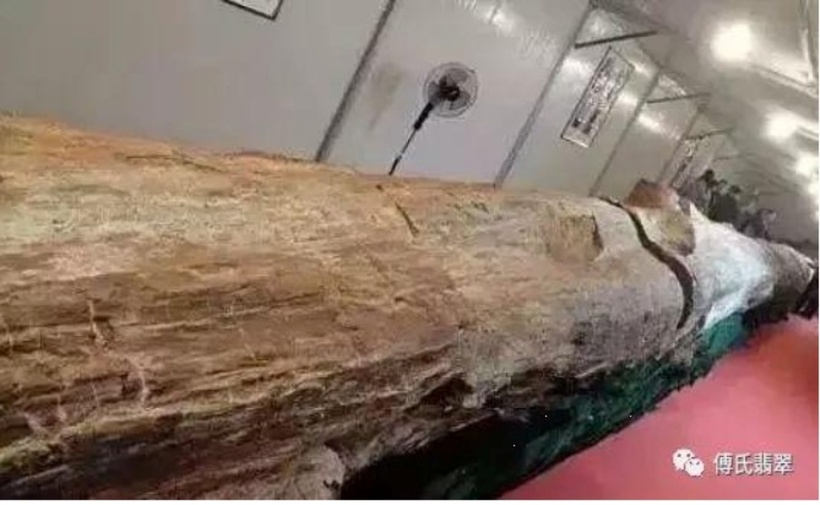 Cây gỗ hóa ngọc có giá trị hơn 600 tỷ đồng. Ảnh: Sohu