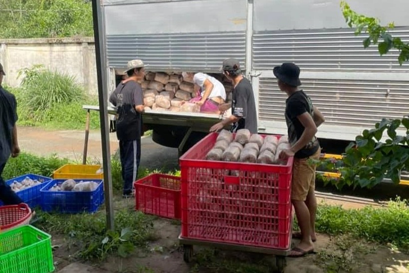 anh Thắng đạt được thành quả là các đơn hàng từ khắp mọi nơi dần đổ về. Ảnh: Dân trí