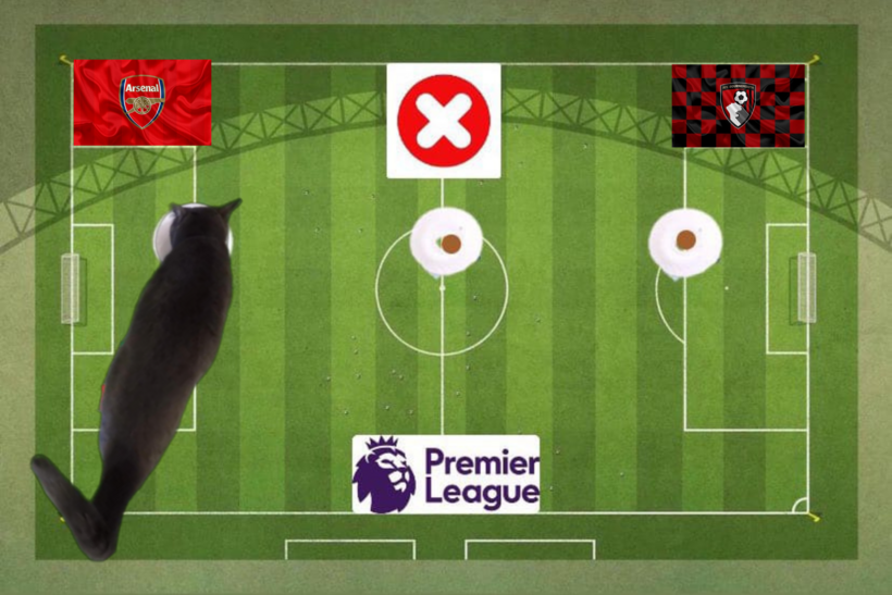 Lựa chọn của chú mèo tiên tri trước trận Bournemouth vs Arsenal
