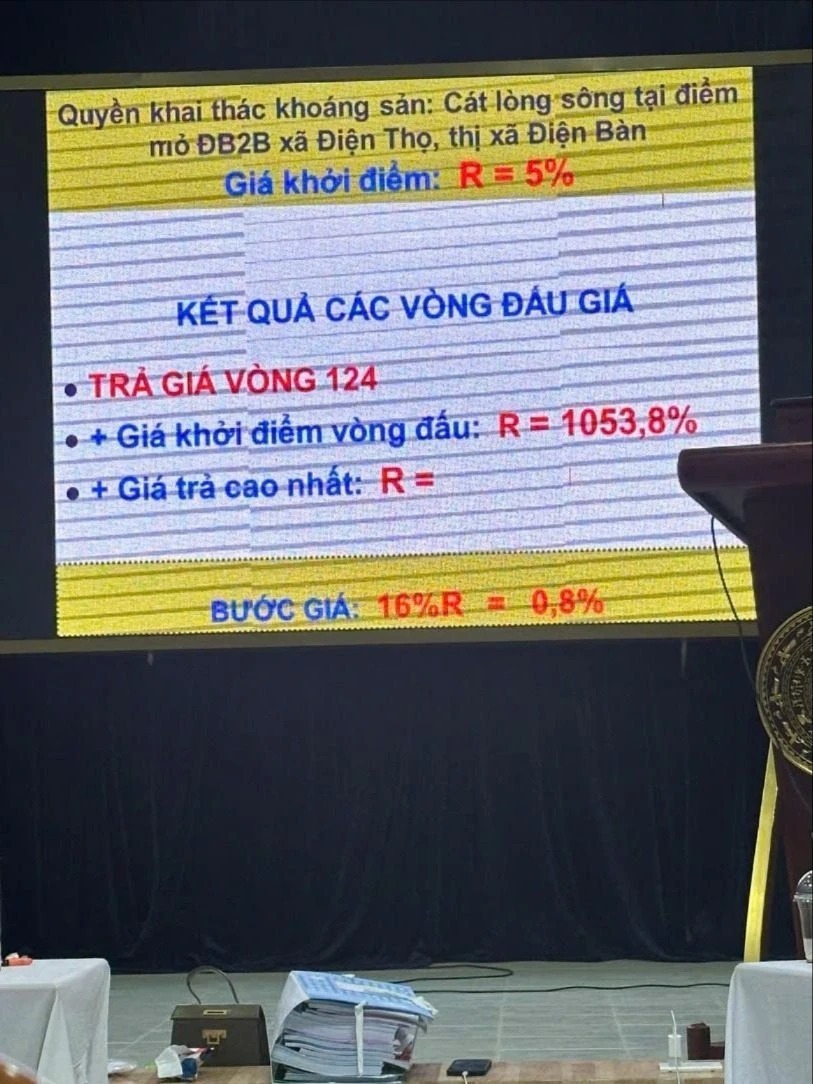 Cuộc đấu giá kéo dài 20 tiếng đồng hồ, từ 1,2 tỷ ban đầu, doanh nghiệp trúng đấu giá 370 tỷ. Ảnh: Pháp luật TP.HCM