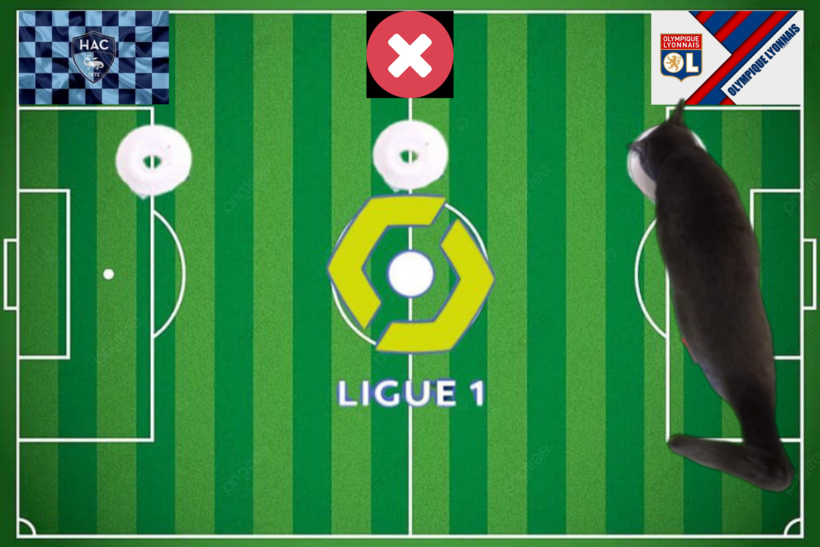 Lựa chọn của chú mèo tiên tri trước trận Le Havre vs Lyon