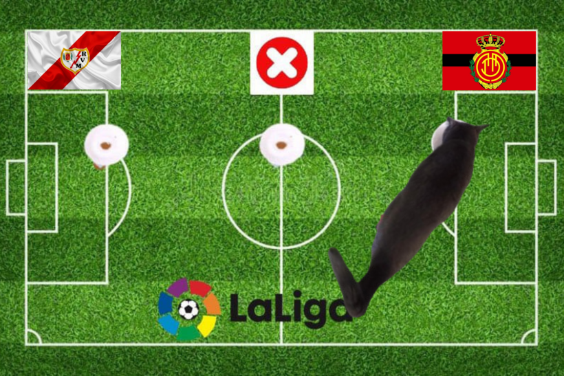 Lựa chọn của chú mèo tiên tri trước trận Mallorca vs Vallecano