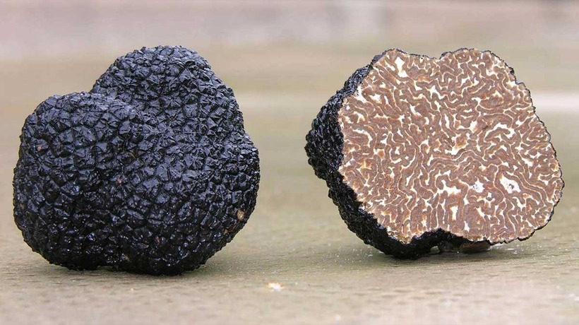 Không chỉ sở hữu hương vị độc đáo, nấm truffle còn chứa nhiều dưỡng chất có lợi cho sức khỏe.