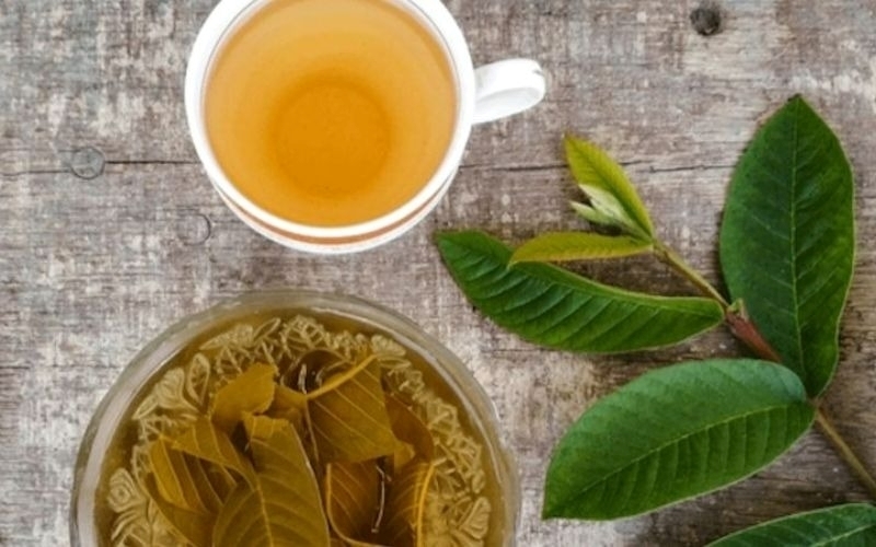 Nhiều người vẫn băn khoăn liệu uống nhiều nước lá ổi có thực sự tốt hay không.