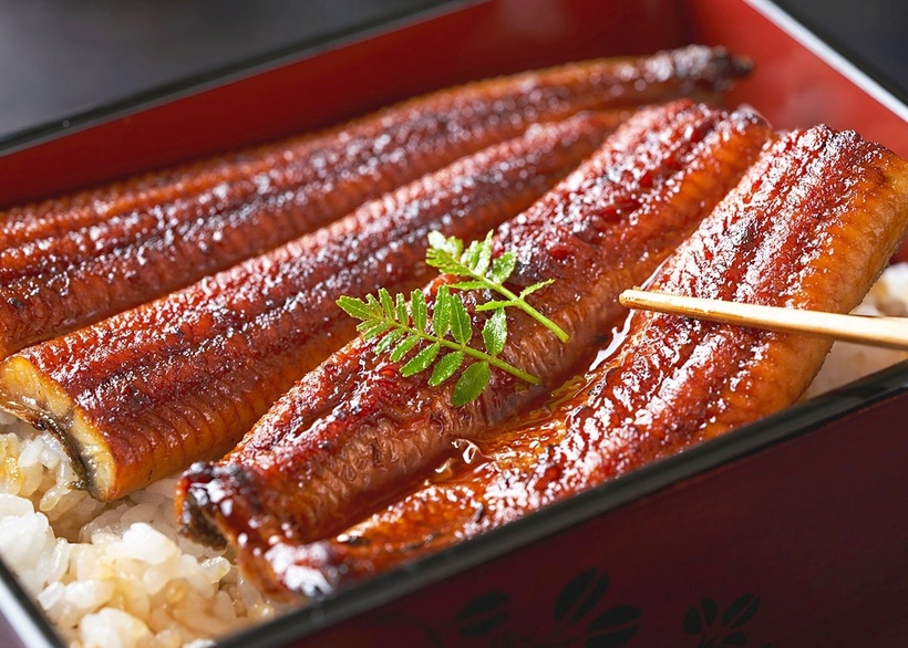 Lươn là một nguồn cung cấp protein tuyệt vời, đặc biệt là các loại lươn nước ngọt và lươn biển.