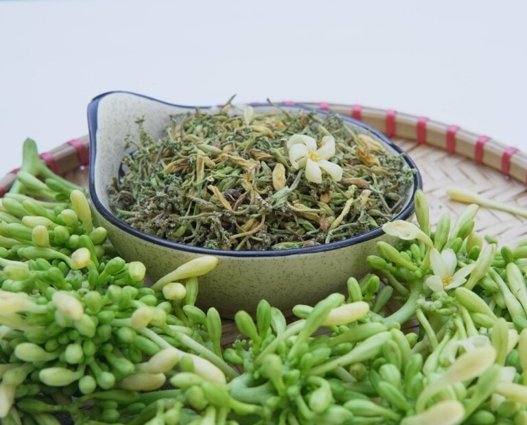 Hoa đu đủ đực được sử dụng rộng rãi trong y học cổ truyền để điều trị nhiều bệnh lý khác nhau.