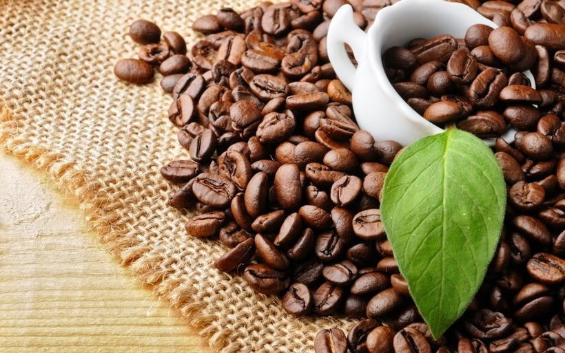 Hãy là người tiêu dùng thông minh, sử dụng cà phê một cách hợp lý để tận hưởng những lợi ích tuyệt vời mà thức uống này mang lại
