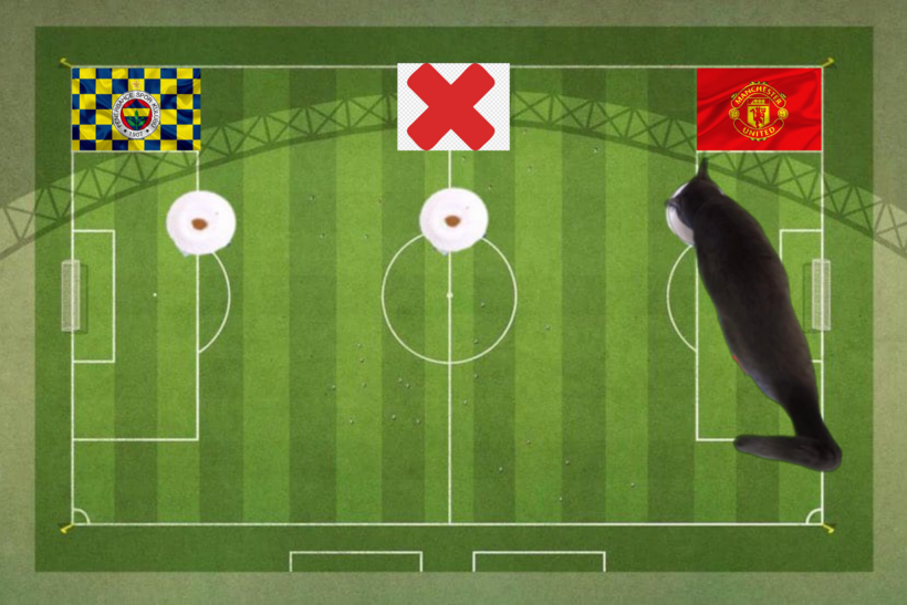 Dự đoán của mèo tiên tri trước trận Fenerbahce vs MU