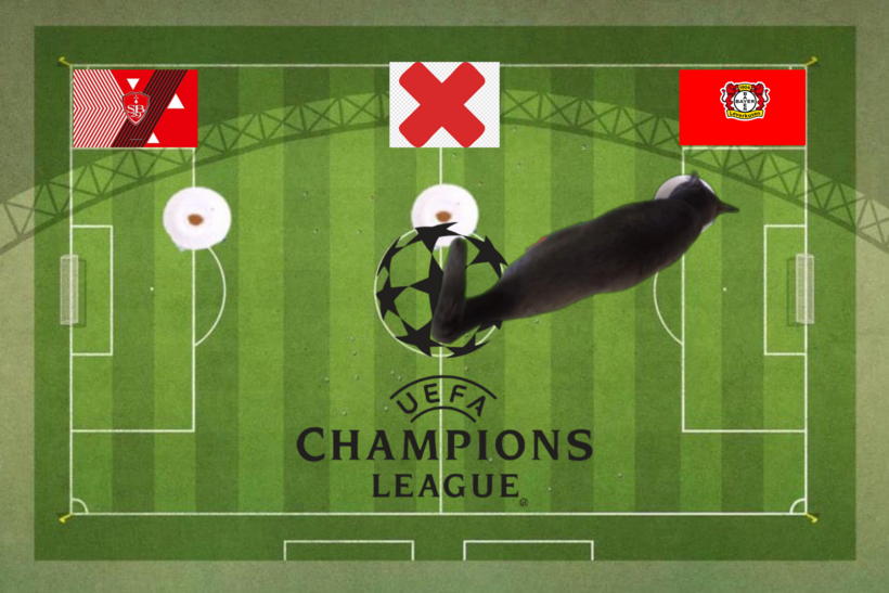 Lựa chọn của chú mèo tiên tri trước trận Brest vs Leverkusen