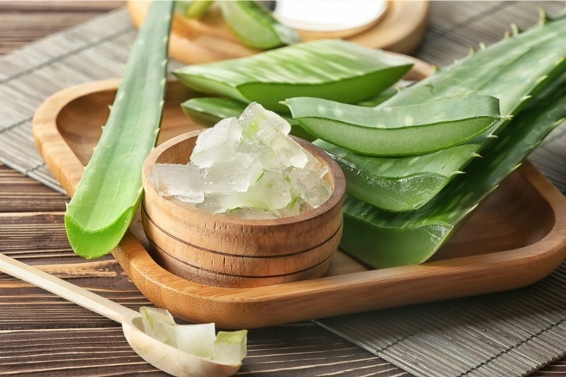 Nha đam được ví như một "vị cứu tinh" cho làn da nhờ khả năng dưỡng ẩm tuyệt vời.