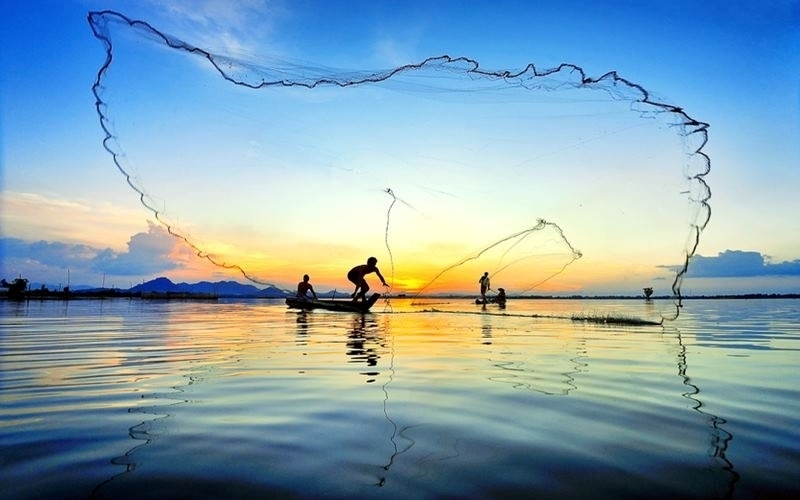 Bãi biển Cồn Nổi thu hút du khách bởi vẻ đẹp tự nhiên, yên bình và hệ sinh thái đa dạng.