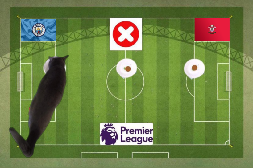 Lựa chọn của chú mèo tiên tri trước trận Man City vs Southampton