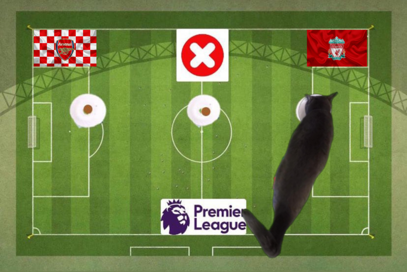 Lựa chọn của chú mèo tiên tri trước trận Arsenal vs Liverpool