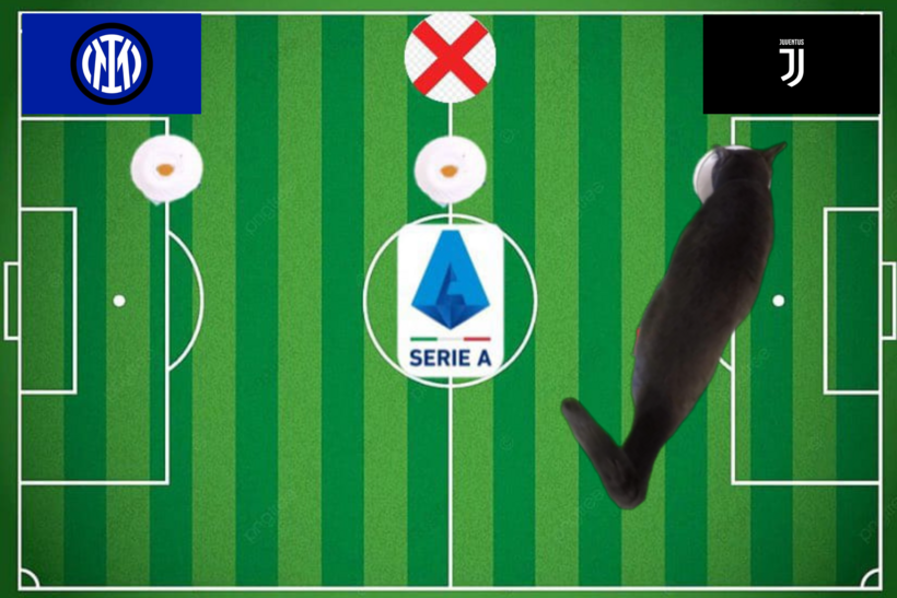 Dự đoán của chú mèo tiên tri trước trận Inter vs Juventus