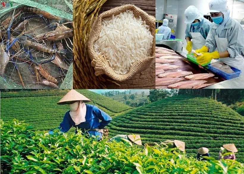 Theo Thứ trưởng Bộ NN-PTNT Phùng Đức Tiến, với tốc độ tăng trưởng hiện nay, xuất khẩu của ngành nông nghiệp năm 2024 có thể đạt 60 - 61 tỷ USD. Ảnh minh họa