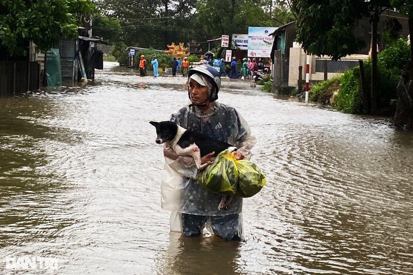 Nhiều người dân trong lúc chạy lũ không quên những chú chó cưng của gia đình. Ảnh: Dân trí