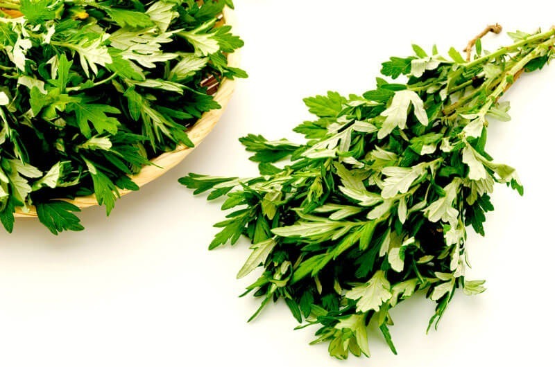 Ngải cứu có tính chất chống viêm tự nhiên và giảm đau, đặc biệt là trong các cơn đau nhức khớp hay đau cơ.