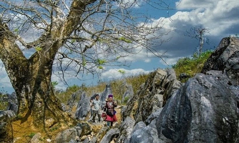 Tủa Chùa còn là nơi tổ chức nhiều lễ hội độc đáo như lễ hội cầu mùa, lễ hội tạ ơn, lễ hội mùa xuân…