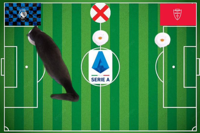 Lựa chọn của chú mèo tiên tri trước trận Atalanta vs Monza