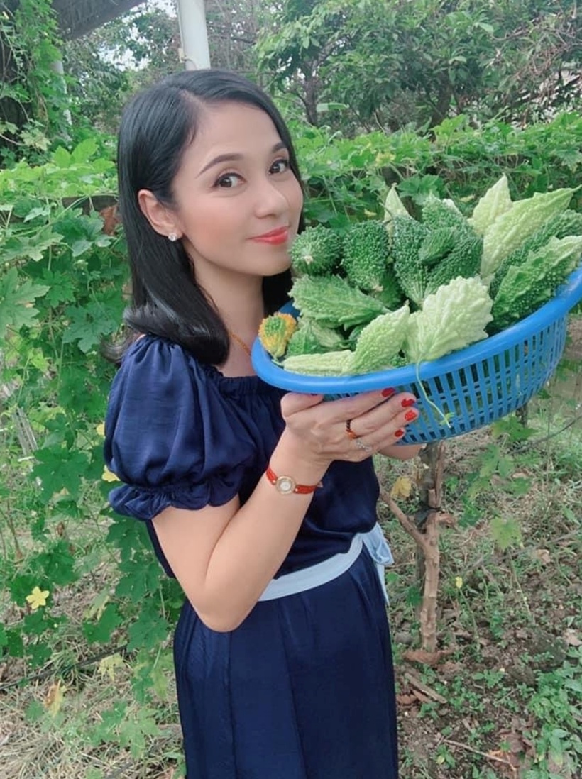 Việt Trinh dành phần lớn diện tích để trông các cây ăn quả như xoài, ổi, khế, đu đu, cóc, cung cấp thực phẩm sạch cho gia đình.
