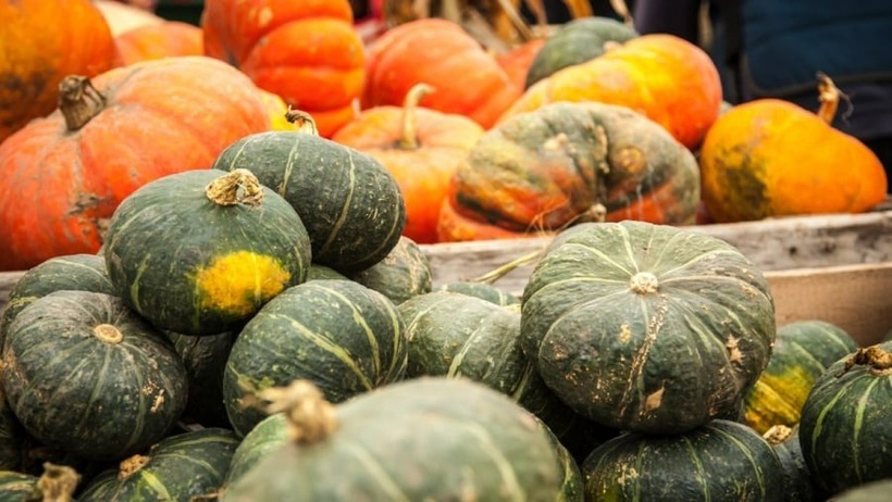 Bí đỏ là một loại quả quen thuộc trong bữa ăn của người Việt.