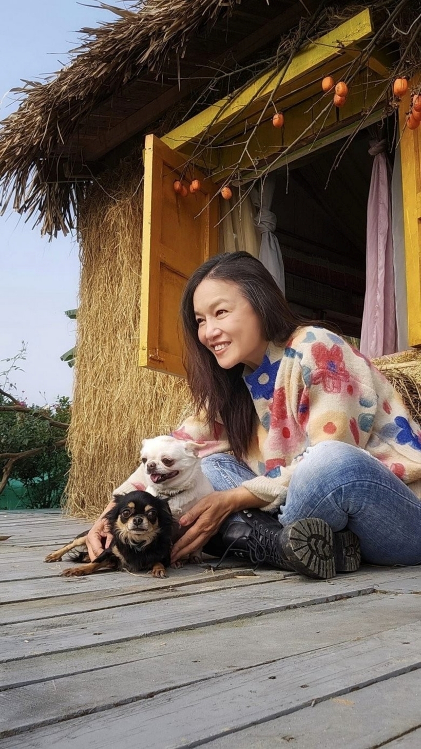Diễn viên Tú Oanh cũng từng chia sẻ hình ảnh bên cơ ngơi này, khiêm tốn gọi đó là "nhà tranh". Bao quanh những ngôi nhà tranh là nhiều hoa lá xinh xắn, trong khi những nếp nhà được trang trí với hoa, quả hồng... trông vô cùng lãng mạn.