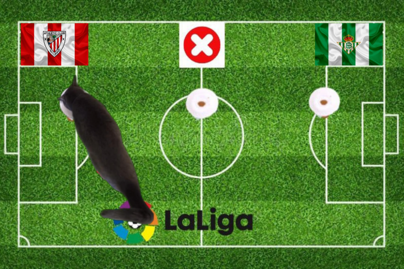 Dự đoán của chú mèo tiên tri trước trận Bilbao vs Betis