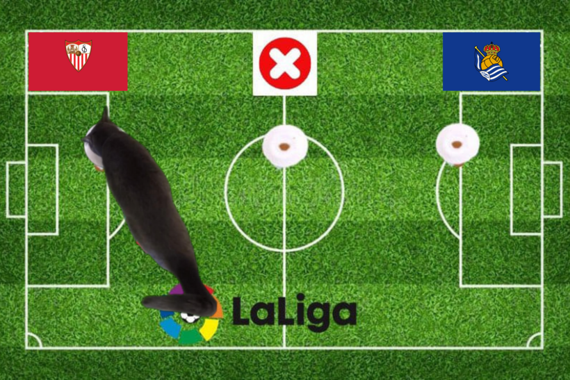 Dự đoán của chú mèo tiên tri trước trận Sevilla vs Sociedad