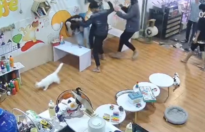 Các đối tượng này xông vào quán đấm đá V. túi bụi, V. chỉ biết ôm đầu chịu trận và nói lời xin lỗi. Ảnh: Báo Người lao động.