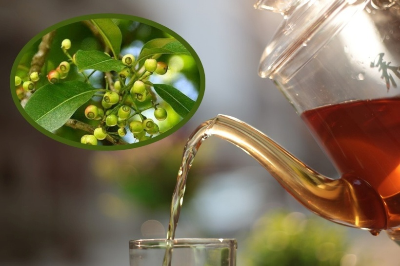 Nên uống nước lá vối khô đồng thời kết hợp bổ sung men hỗ trợ tiêu hóa để giảm tính kháng khuẩn trong lá vối, tránh tiêu diệt vi khuẩn có lợi cho đường ruột. Ảnh minh họa