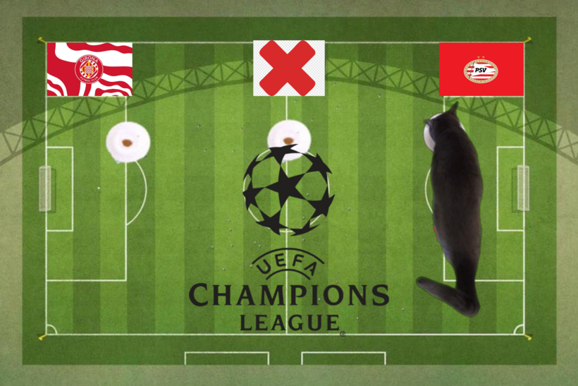 Dự đoán của chú mèo tiên tri trước trận PSV vs Girona