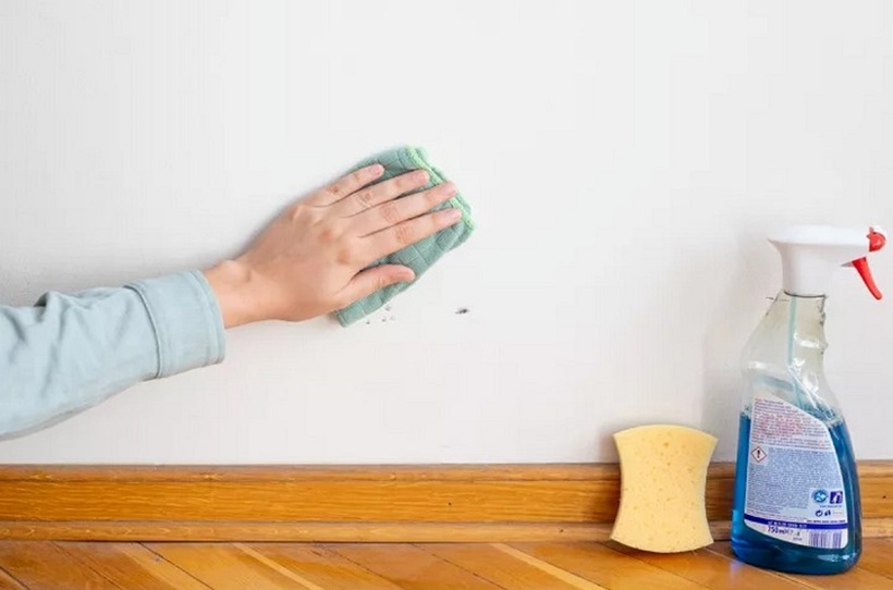 Cách làm sạch những bức tường màu trắng - 2