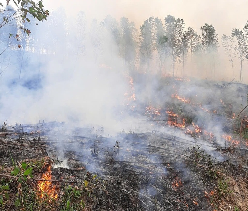 Hiện trường vụ cháy rừng. Ảnh: Báo Giao Thông