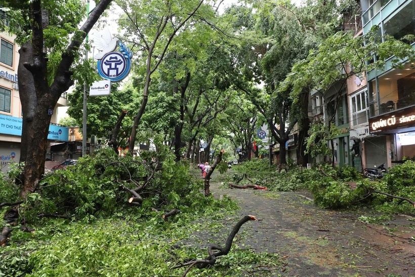 Cơn bão Yagi làm cho khoảng 40.000 cây xanh gẫy đổ trên địa bàn TP. Hà Nội. (Ảnh: Báo Đảng cộng sản Việt Nam)